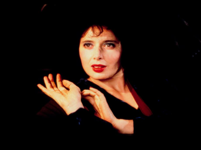 Foto 70 de Veludo Azul