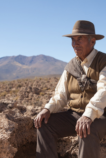 José Calcina - Poster / Capa / Cartaz - Oficial 1