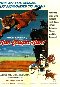 Fuja, Puma, Fuja (Run, Cougar, Run)