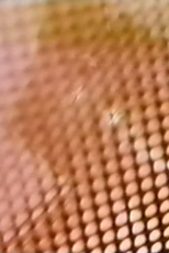 Sexual Meditation: Hotel (Sexual Meditation: Hotel)