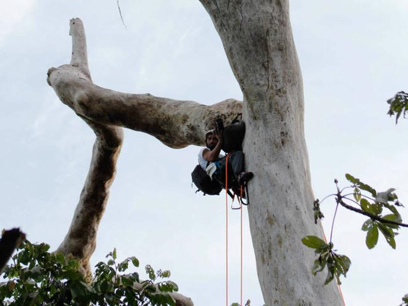 Foto 4 de Amazônia Eterna