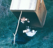 Untitled (Tea Party)