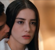 Acemi Koca