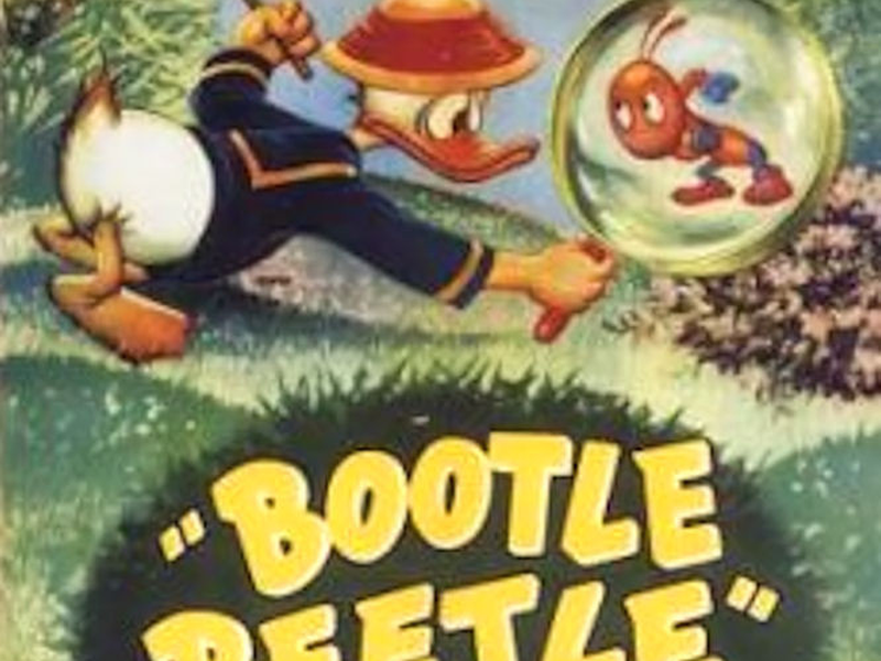 Foto 1 de Bootle Beetle