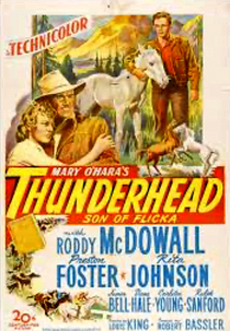 Fúria Selvagem (Thunderhead - Son of Flicka)