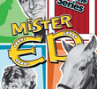 Mister Ed