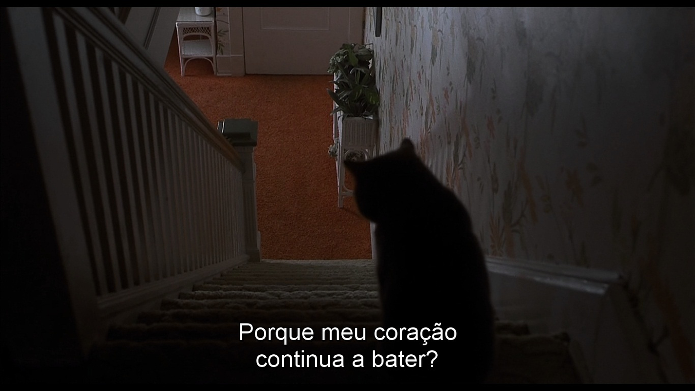♉ - Foto 4