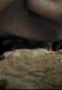 Picnic of the Living Dead (Picnic of the Living Dead)