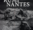Os Ruminantes