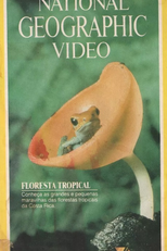 National Geographic Vídeo - Floresta Tropical (Rain Forest)