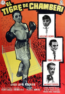 O Tigre de Chamberí