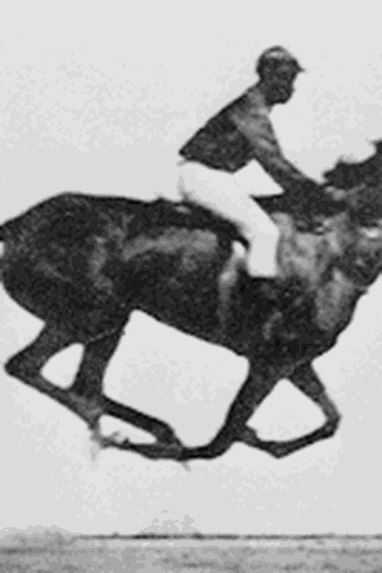  de Curta O Cavalo em Movimento (1878)