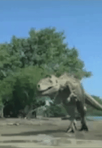 Spectacles on the Beach (Spectacles on the Beach)