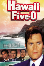 Hawaii Five-O (5ª Temporada) (Hawaii Five-O (Season 5))