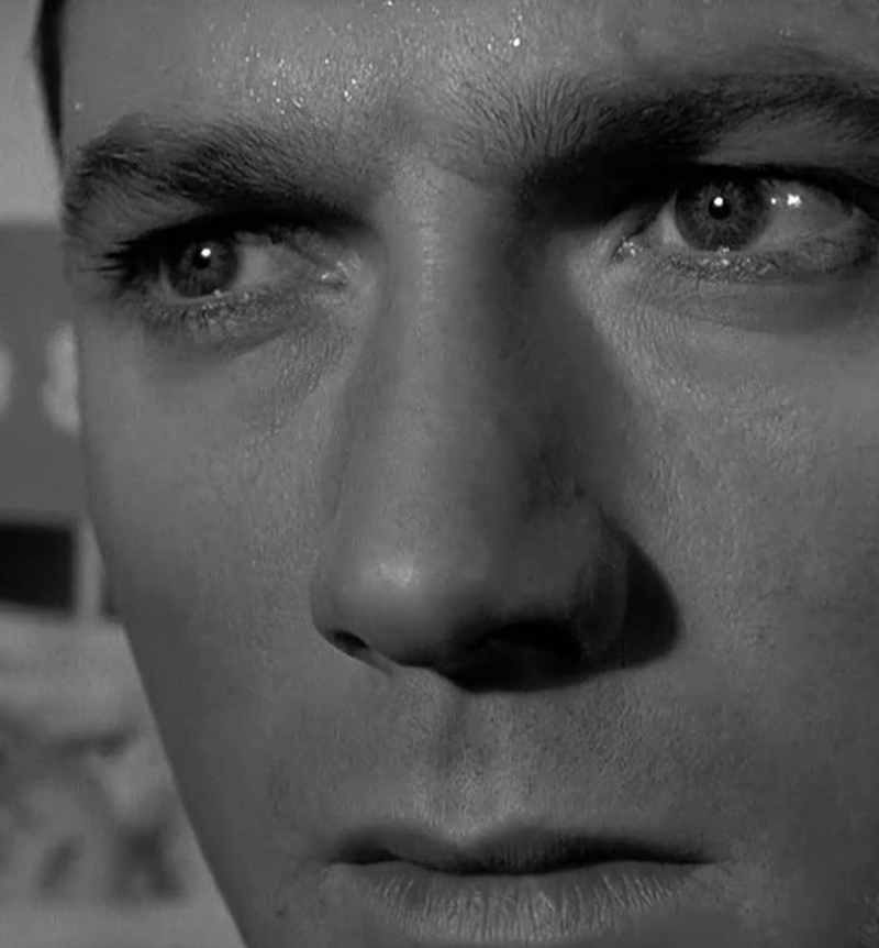 Laurence Harvey - Foto 2