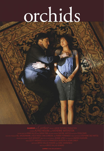 Orchids (Orchids)