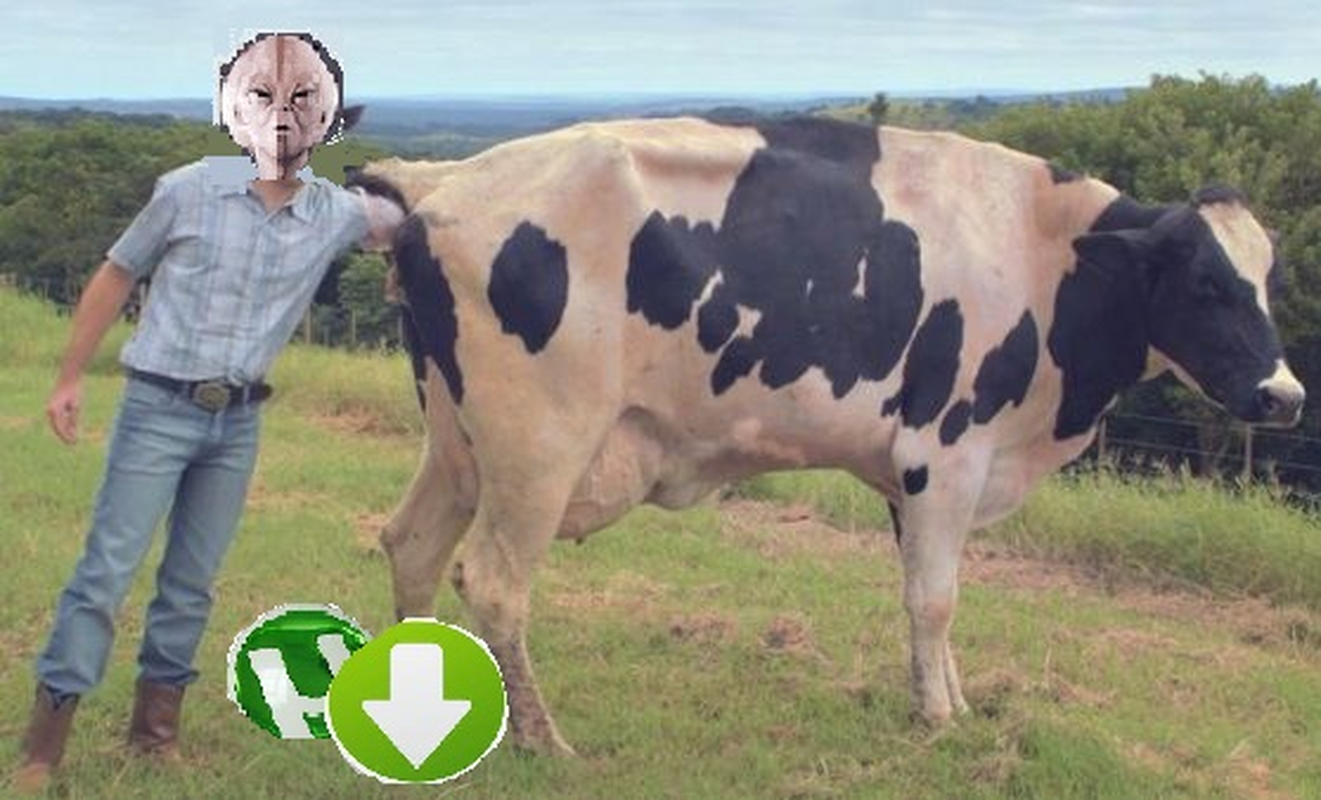Inseminador de torrents - Foto 1