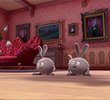 Dust Bunnies