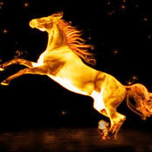 Foto de perfil de Eder Coutinho Silva