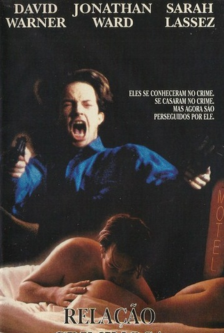 Poster 2 de Filme Relação Criminosa (1994)