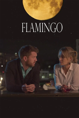 Poster 1 de Filme Flamingo (2020)