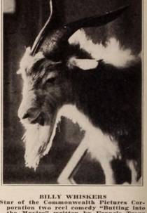 Billy Whiskers (Billy Whiskers)