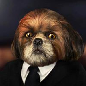 Foto de perfil de ABL