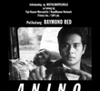 Anino