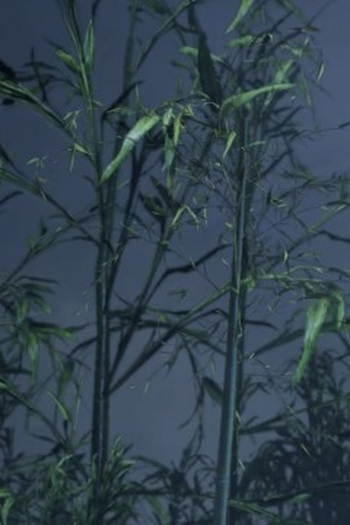 Poster de Episódio 问道于心 (2021)