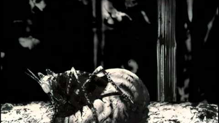 Trailer: Jerzy Kucia   Refleksy 1979