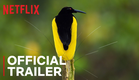 Dancing With The Birds | Official Trailer | Netflix