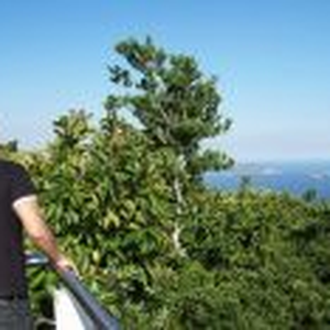 Foto de perfil de Lucas