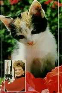 Rue McClanahan: The Cat Care Video Guide - Poster / Capa / Cartaz - Oficial 1