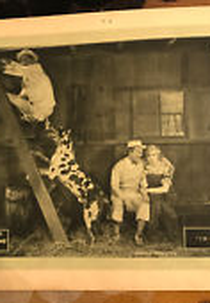 Dias campestres (Country days)