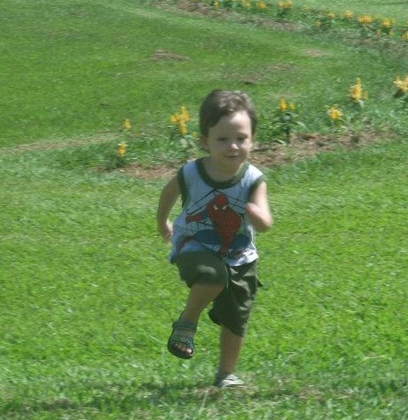 Suellen Fernandes - Foto 2