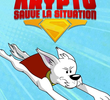 Krypto Saves the Day!