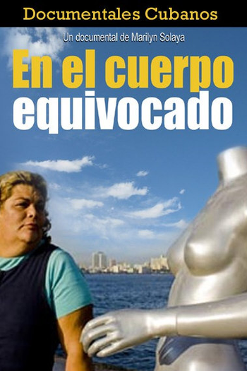 Poster de Filme No Corpo Errado (2010)