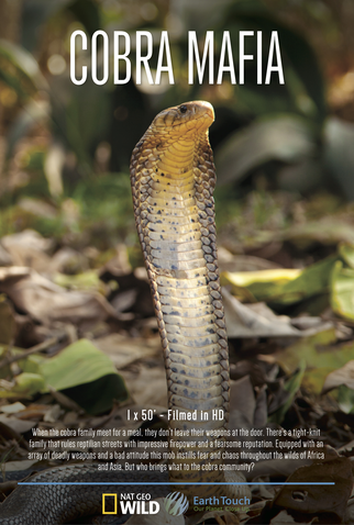 Poster 2 de Série A Máfia das Cobras (2015)