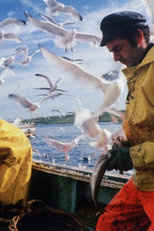 The Shetland Experience (The Shetland Experience)