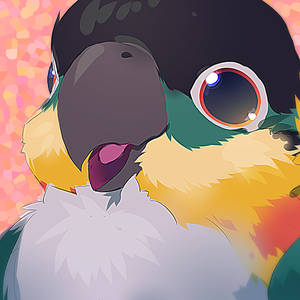 Foto de perfil de Caique Freitas Lima