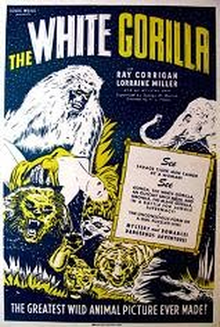 Poster 1 de Filme O Gorila Branco (1945)