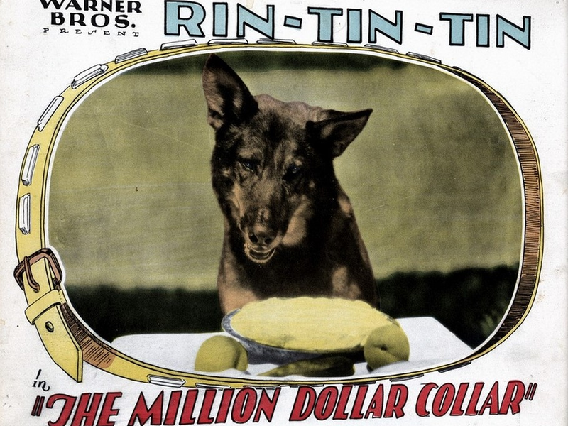 Foto 1 de A Pista do Mistério