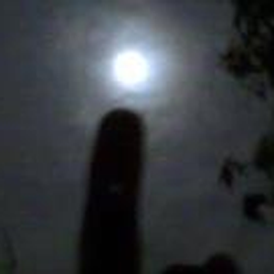 Foto de perfil de Aline De Carvalho Cantanhêde