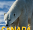 Canadá Selvagem