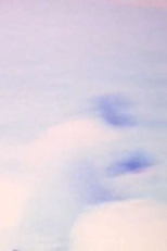 Z (Zee Not Zed) (Z (Zee Not Zed))