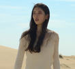 13회