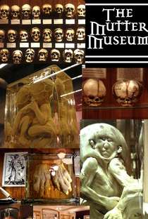 The Mutter Museum - Poster / Capa / Cartaz - Oficial 1