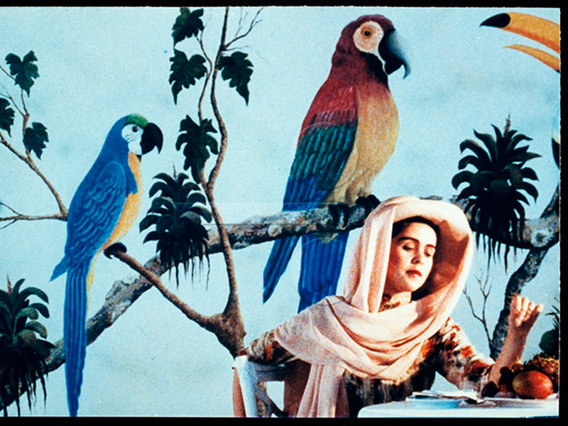 Foto 1 de Oswaldianas