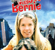 Bridget Loves Bernie