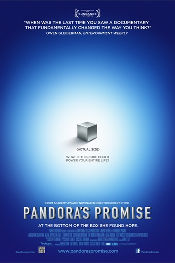 Poster de Filme Promessa de Pandora (2013)